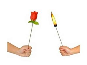 Torch To Rose Trick